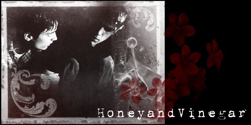 HoneyandVinegar
