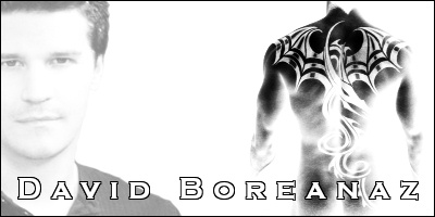 David Boreanaz